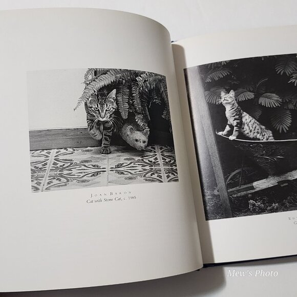 Black & White Cats Hardcover – January 1, 1992 - Picture 5 of 9